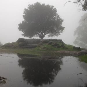 Meet your Posher, Sabrina